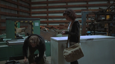 2011_-_Vampire_mp40909.jpg