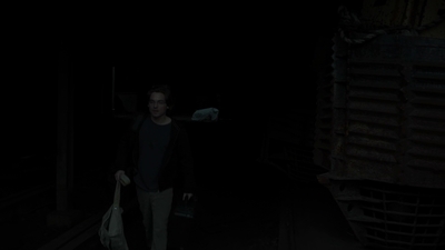 2011_-_Vampire_mp41183.jpg