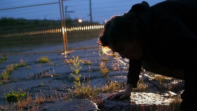 2011_-_Vampire_mp41345.jpg