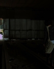 2011_-_Vampire_mp40869.jpg
