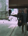 2011_-_Vampire_mp40879.jpg