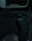 2011_-_Vampire_mp41197.jpg