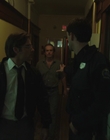 2011_-_Vampire_mp41521.jpg