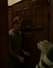 2011_-_Vampire_mp41822.jpg