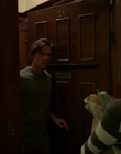 2011_-_Vampire_mp41823.jpg