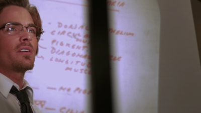 2011_-_Vampire_mp42835.jpg