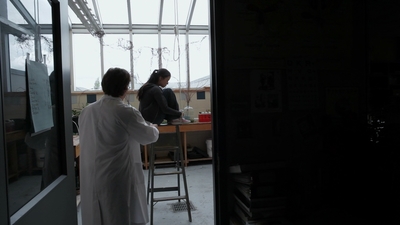 2011_-_Vampire_mp43035.jpg