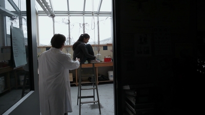 2011_-_Vampire_mp43036.jpg