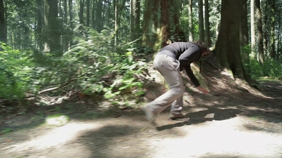 2011_-_Vampire_mp43666.jpg