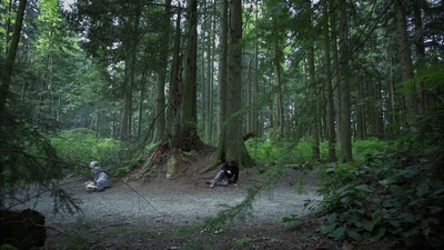 2011_-_Vampire_mp43685.jpg