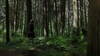 2011_-_Vampire_mp43915.jpg