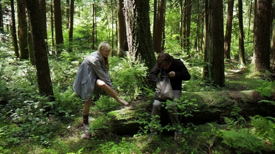 2011_-_Vampire_mp43979.jpg