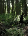 2011_-_Vampire_mp43886.jpg