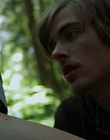 2011_-_Vampire_mp44101.jpg
