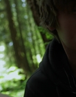 2011_-_Vampire_mp44110.jpg