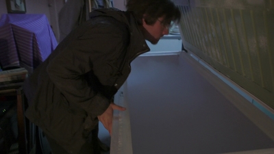 2011_-_Vampire_mp44771.jpg