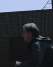 2011_-_Vampire_mp46304.jpg