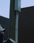 2011_-_Vampire_mp46306.jpg