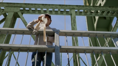2013_-_All_the_Wrong_Reasons_mp46460.jpg