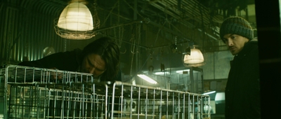 2013_-_The_Colony_mp40605.jpg