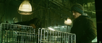 2013_-_The_Colony_mp40606.jpg