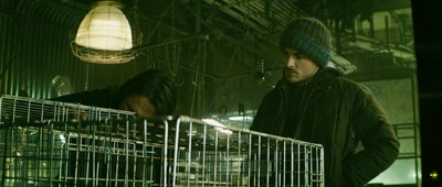 2013_-_The_Colony_mp40607.jpg