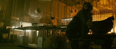 2013_-_The_Colony_mp44800.jpg