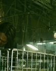 2013_-_The_Colony_mp40605.jpg