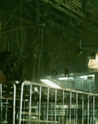 2013_-_The_Colony_mp40606.jpg