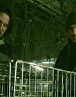 2013_-_The_Colony_mp40609.jpg
