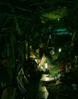 2013_-_The_Colony_mp41679.jpg