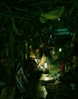 2013_-_The_Colony_mp41683.jpg