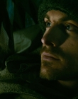 2013_-_The_Colony_mp41882.jpg