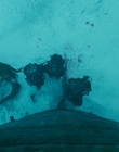 2013_-_The_Colony_mp41956.jpg