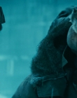 2013_-_The_Colony_mp41967.jpg