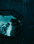 2013_-_The_Colony_mp42015.jpg