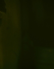 2013_-_The_Colony_mp42387.jpg