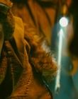 2013_-_The_Colony_mp42419.jpg