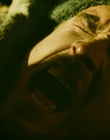 2013_-_The_Colony_mp42901.jpg