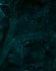 2013_-_The_Colony_mp43096.jpg