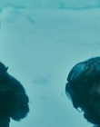 2013_-_The_Colony_mp43125.jpg