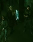 2013_-_The_Colony_mp44345.jpg