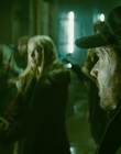 2013_-_The_Colony_mp44358.jpg