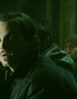 2013_-_The_Colony_mp44359.jpg