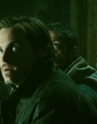 2013_-_The_Colony_mp44363.jpg