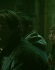 2013_-_The_Colony_mp44364.jpg