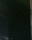 2013_-_The_Mortal_Instruments_City_of_Bones_mkv4586.jpg