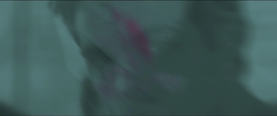 2015_-_The_Curse_Of_Downers_Grove_mp43325.jpg