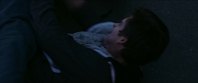 2015_-_The_Curse_Of_Downers_Grove_mp43519.jpg