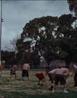 Filename=2015_-_The_Curse_Of_Downers_Grove_mp40356.jpg
Filesize=899KiB
Dimensions=1920x808
Date added=Feb 22, 2024 2015_-_The_Curse_Of_Downers_Grove_mp40356.jpg